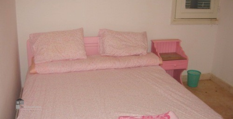 Furnished Villa for rent 0.00 M2 in North Coast, Badr Village