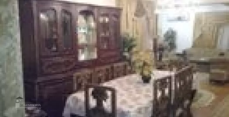 Furnished Apartment for rent 250.00 M2 in Giza, Dokki