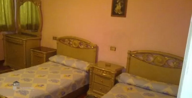 Furnished Apartment for rent 250.00 M2 in Giza, Dokki