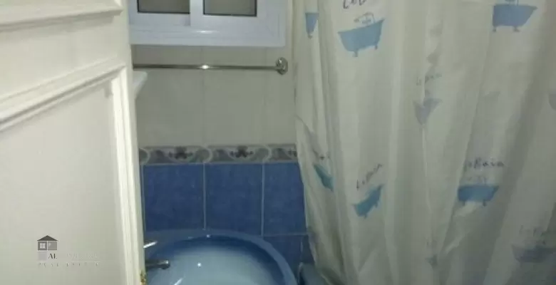 Furnished Apartment for rent 250.00 M2 in Giza, Dokki