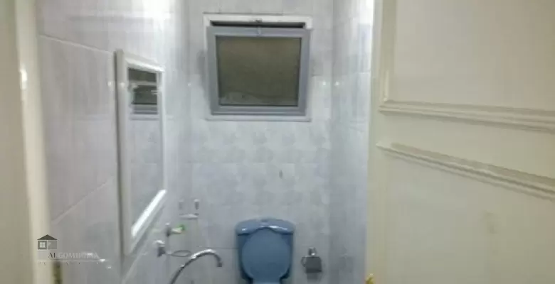 Furnished Apartment for rent 250.00 M2 in Giza, Dokki