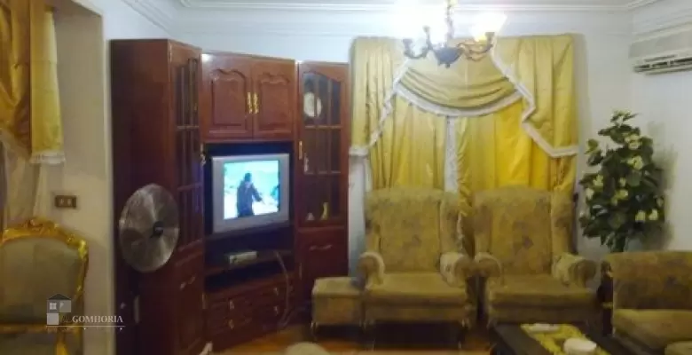 Furnished Apartment for rent 250.00 M2 in Giza, Dokki