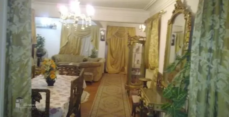 Furnished Apartment for rent 250.00 M2 in Giza, Dokki