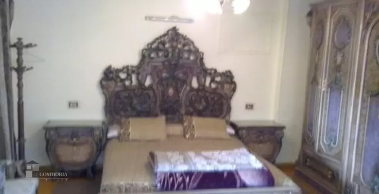 Furnished Apartment for rent 250.00 M2 in Giza, Dokki