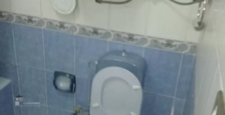 Furnished Apartment for rent 250.00 M2 in Giza, Dokki