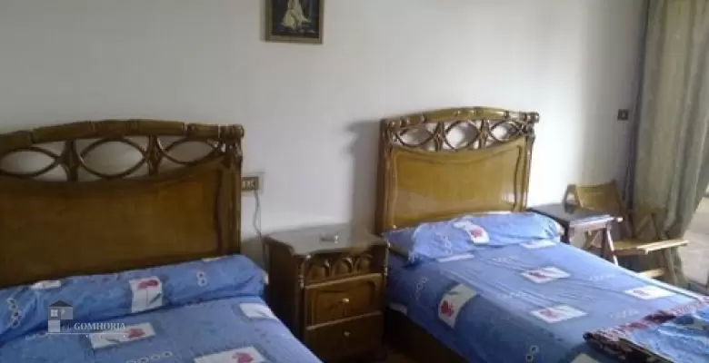 Furnished Apartment for rent 250.00 M2 in Giza, Dokki