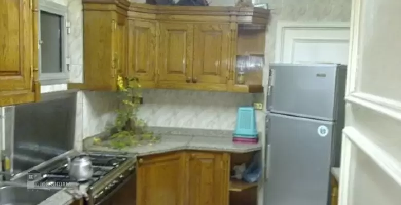 Furnished Apartment for rent 250.00 M2 in Giza, Dokki