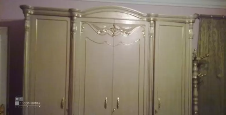 Furnished Apartment for rent 250.00 M2 in Giza, Dokki