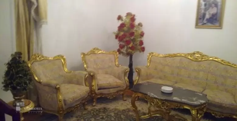 Furnished Apartment for rent 250.00 M2 in Giza, Dokki
