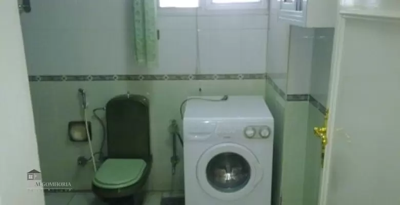 Furnished Apartment for rent 250.00 M2 in Giza, Dokki