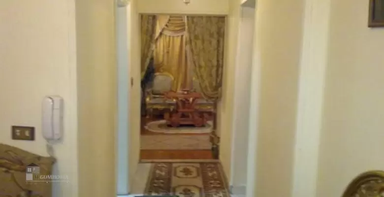 Furnished Apartment for rent 250.00 M2 in Giza, Dokki