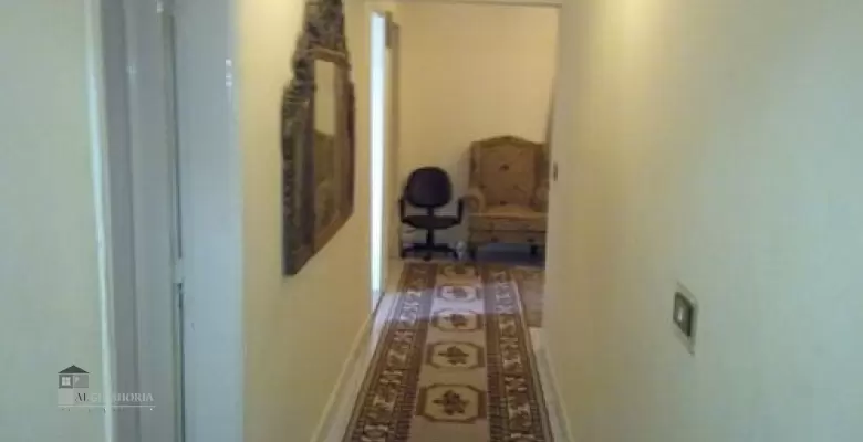 Furnished Apartment for rent 250.00 M2 in Giza, Dokki