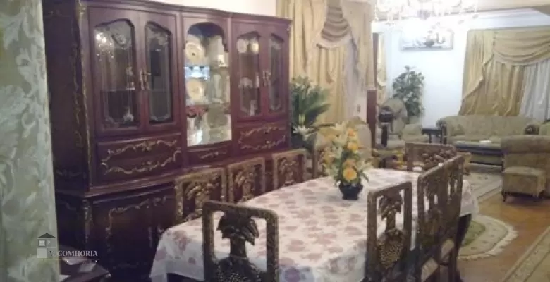 Furnished Apartment for rent 250.00 M2 in Giza, Dokki