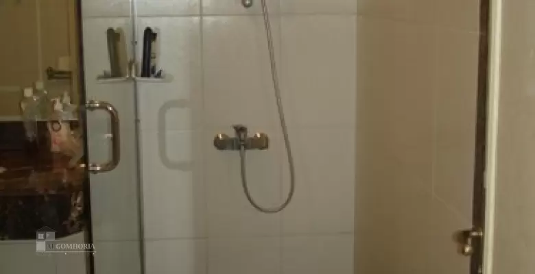 Furnished Apartment for rent 0.00 M2 in Cairo, Maadi