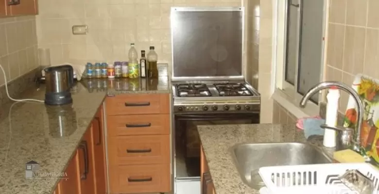 Furnished Apartment for rent 0.00 M2 in Cairo, Maadi