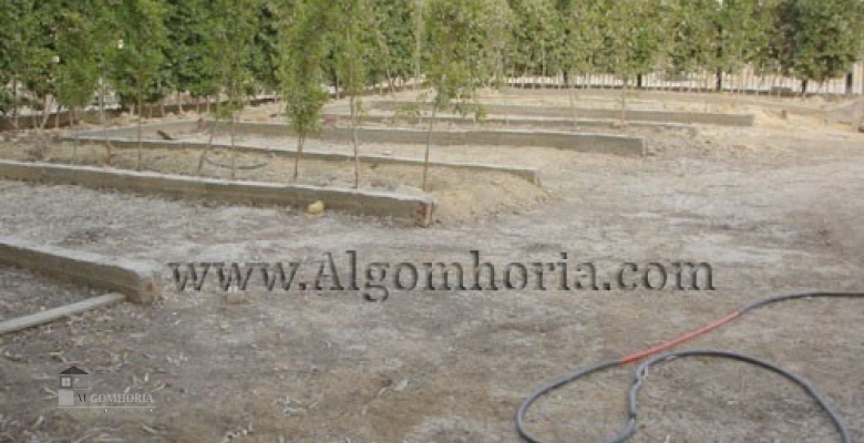 Unfurnished Villa for rent 4000.00 M2 in Cairo, Maadi