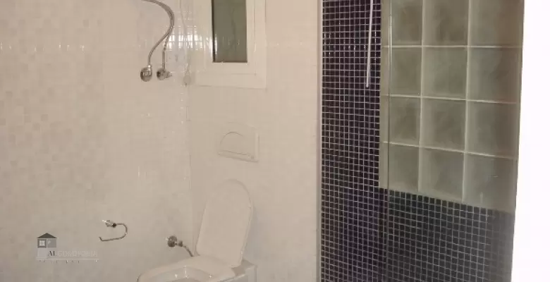 Furnished Apartment for rent 180.00 M2 in Cairo, Zamalek