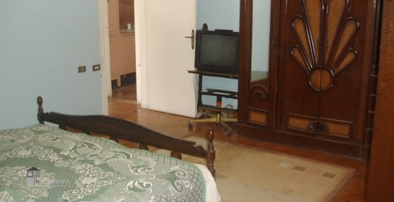Furnished Apartment for rent 0.00 M2 in Cairo, Zamalek