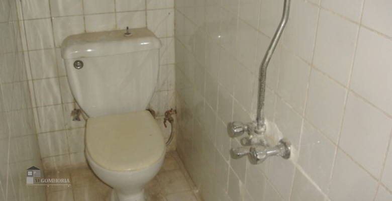Furnished Apartment for rent 0.00 M2 in Cairo, Zamalek