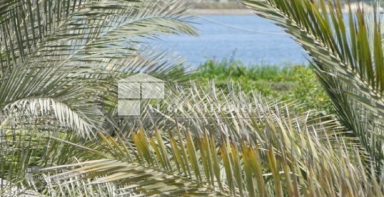 فيلا للايجار الساحل الشمالي