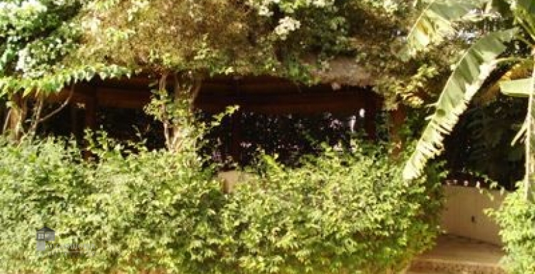 Furnished Villa for rent 1500.00 M2 in Giza, 6th of october