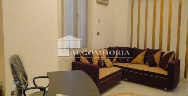 Furnished Villa for rent 0.00 M2 in Giza, 6th of october