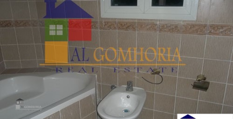 Furnished Apartment for rent 0.00 M2 in Cairo, Cairo