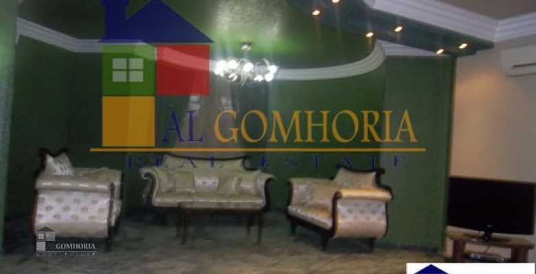 Furnished Apartment for rent 0.00 M2 in Cairo, Cairo