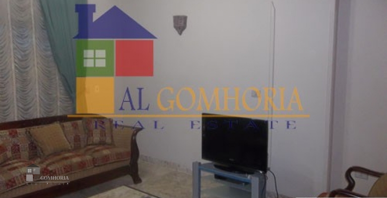 Furnished Apartment for rent 0.00 M2 in Cairo, Cairo