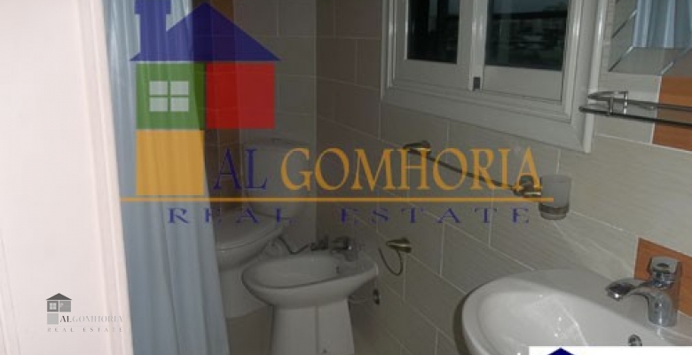 Furnished Apartment for rent 0.00 M2 in Cairo, Cairo