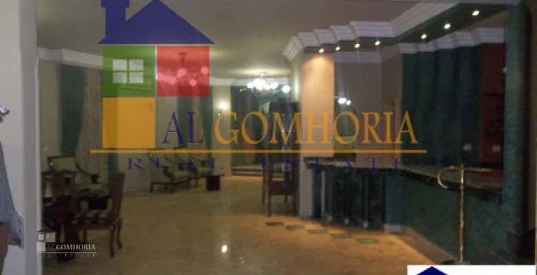 Furnished Apartment for rent 0.00 M2 in Cairo, Cairo