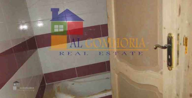 Furnished Apartment for rent 0.00 M2 in Cairo, Cairo