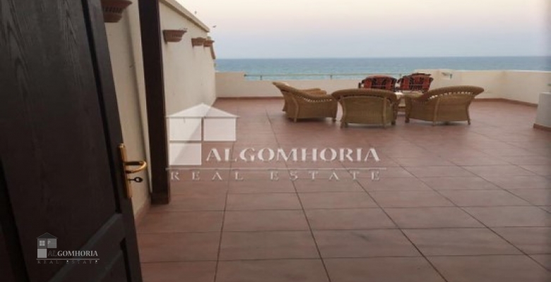 شاليه للايجار قرية لافيستا العين السخنة 3 غرف