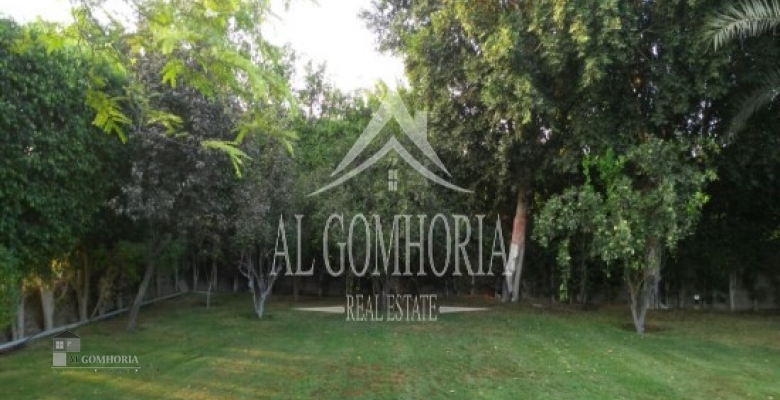 Unfurnished Villa for rent 1100.00 M2 in Misr, Alex Road
