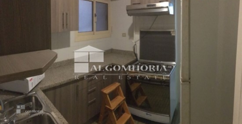Furnished Apartment for rent 270.00 M2 in Giza, Dokki