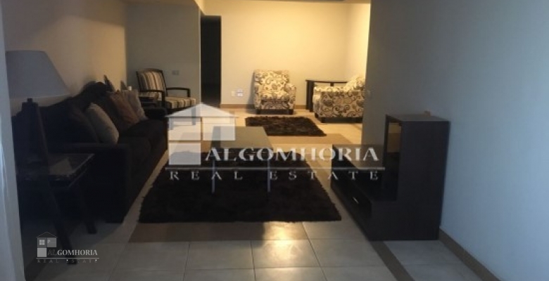 Furnished Apartment for rent 270.00 M2 in Giza, Dokki