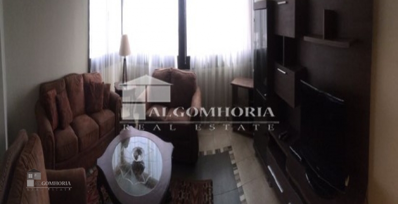 Furnished Apartment for rent 270.00 M2 in Giza, Dokki