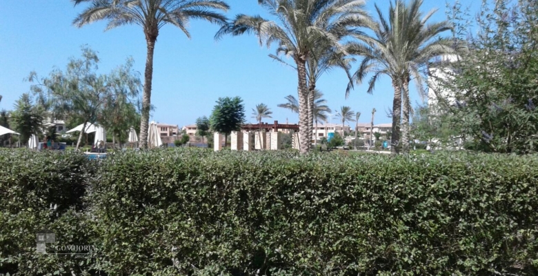 مراسى كاتنيا سيدى عبد الرحمن