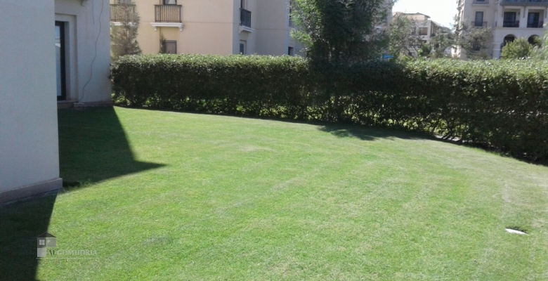 مراسى كاتنيا سيدى عبد الرحمن