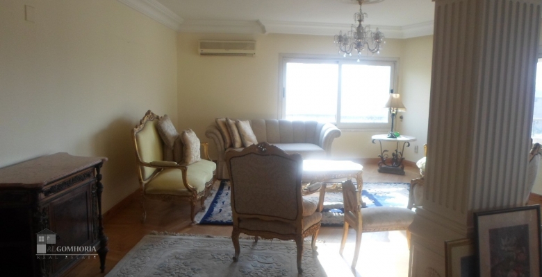 Furnished Apartment for rent 30000 M2 in Giza Dokki
