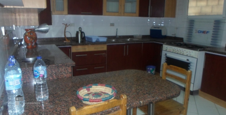 Furnished Apartment for rent 30000 M2 in Giza Dokki