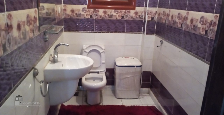 شقه للايجار بموقع متميز بالدقى / An apartment in a prime location in Dokki