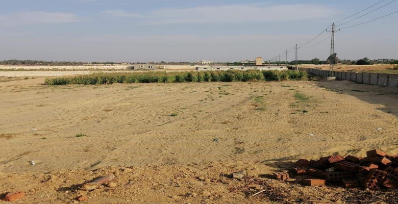 فرصه استثماريه