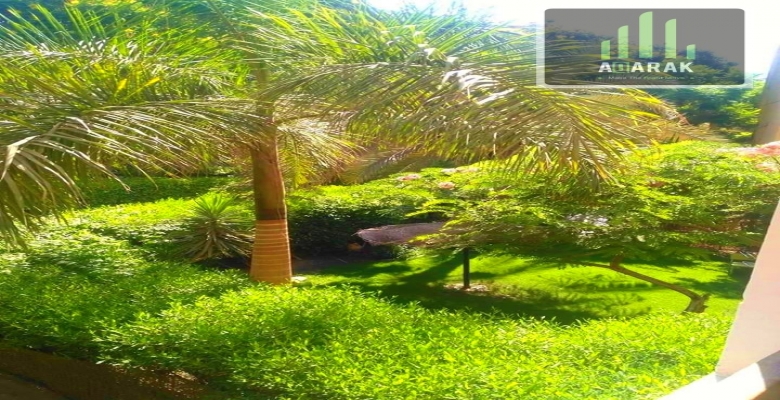 شقه 135 م بكمبوند حي الاشجار تشطيب الشركه بالدور الاول للبيع تتكون من ٣ غرف نوم و ٢ حمام ورسبشن ٢ قطعه ومطبخ وبلكونه كبيرة في مكان رائع داخل الكومباوند يتميز بالامان والهدوء بكومباوند حي الاشجار امام دريم بارك ودريم لاند علي طريق الواحات مباشر وقريب من مو