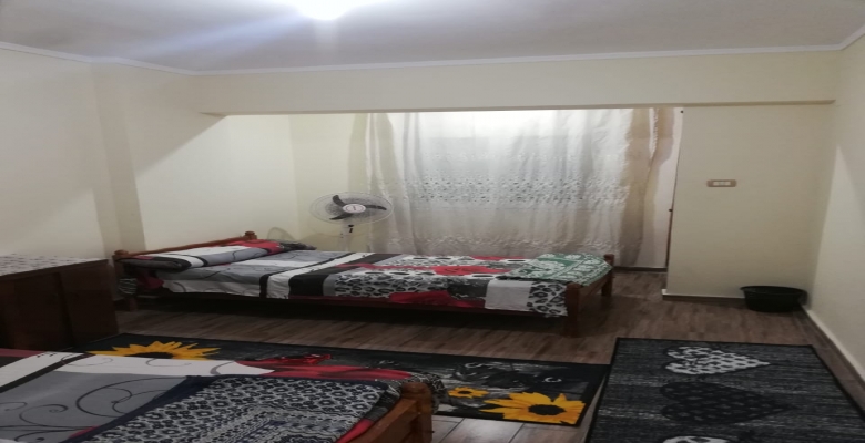 شقة فاخرة للايجار مفروش -ميامى -الدور 5