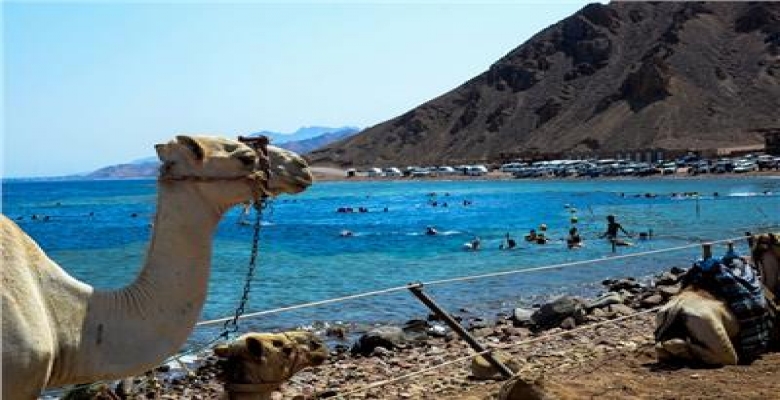 شاله بدهب على البحر للايجلر اليومى