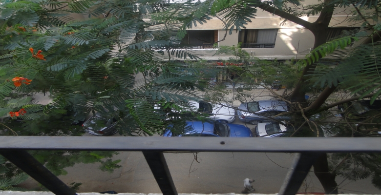 شقة للايجار بالدقي