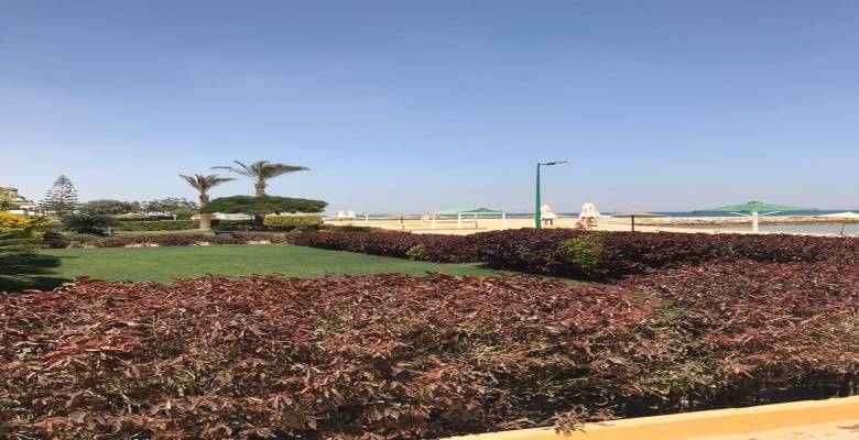 شالية للايجار العين السخنة - كنارى بيتش