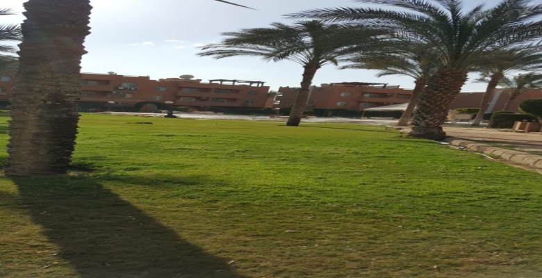 شاليه لايجار السنوى العين السخنة - قرية الوادى