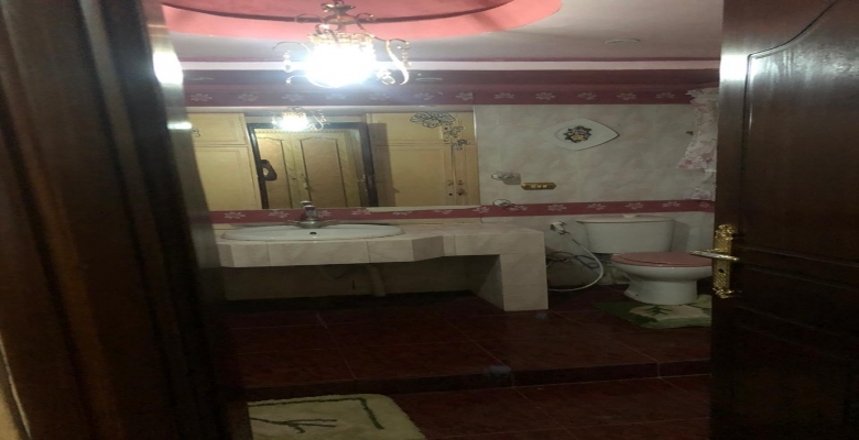 شقة مفروشة للايجار - الزمالك / Furnished apartment for rent - Zamalek